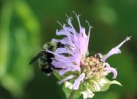 View photo in a new window