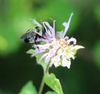 View photo in a new window