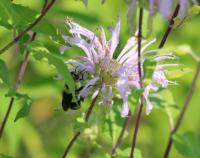 View photo in a new window