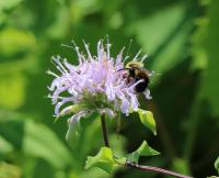 View photo in a new window