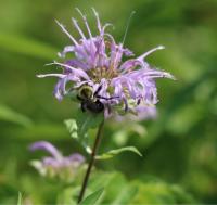 View photo in a new window