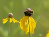 View photo in a new window