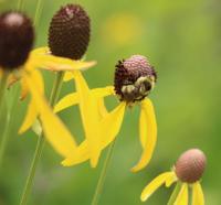 View photo in a new window