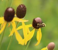 View photo in a new window