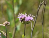 View photo in a new window