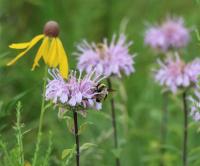 View photo in a new window