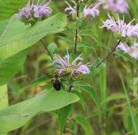 View photo in a new window