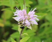 View photo in a new window