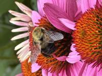 View photo in a new window