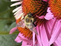 View photo in a new window