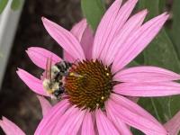 View photo in a new window