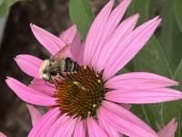 View photo in a new window