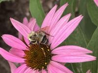 View photo in a new window