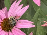 View photo in a new window