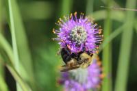 View photo in a new window