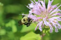 View photo in a new window