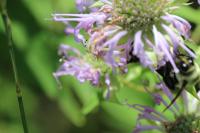 View photo in a new window