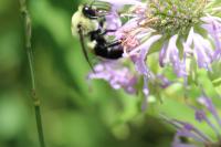 View photo in a new window