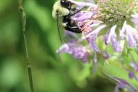 View photo in a new window