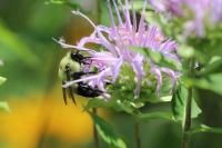 View photo in a new window