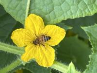 View photo in a new window