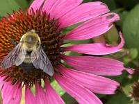 View photo in a new window