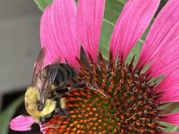 View photo in a new window