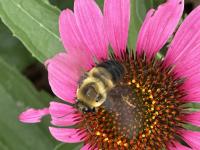 View photo in a new window