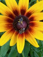 View photo in a new window