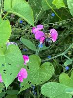 View photo in a new window