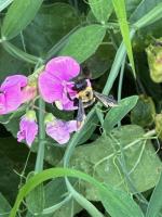 View photo in a new window