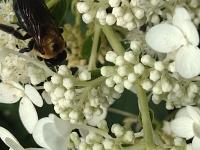 View photo in a new window