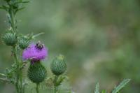 View photo in a new window