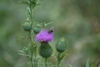 View photo in a new window