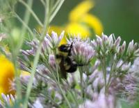 View photo in a new window