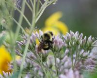 View photo in a new window