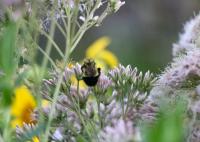 View photo in a new window