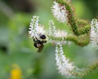 View photo in a new window