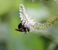 View photo in a new window