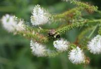 View photo in a new window