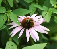 View photo in a new window