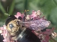 View photo in a new window