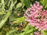 View photo in a new window