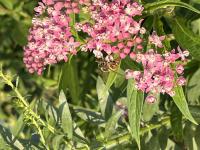 View photo in a new window