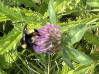 View photo in a new window