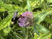 View photo in a new window