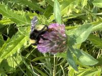 View photo in a new window