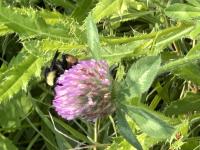 View photo in a new window