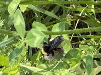 View photo in a new window