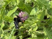 View photo in a new window